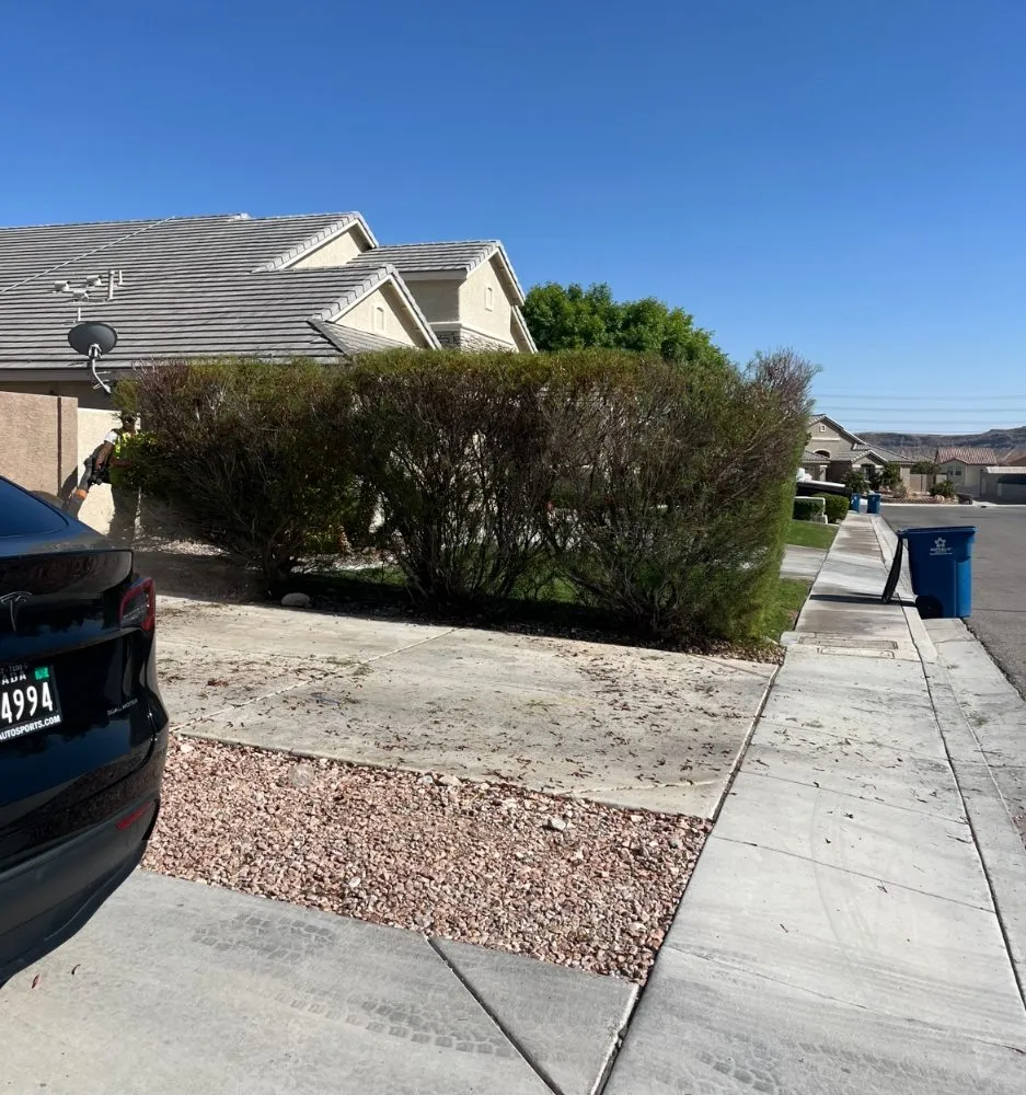 Expert landscaping services experts serving Las Vegas, NV - A&E Landscape and Trees