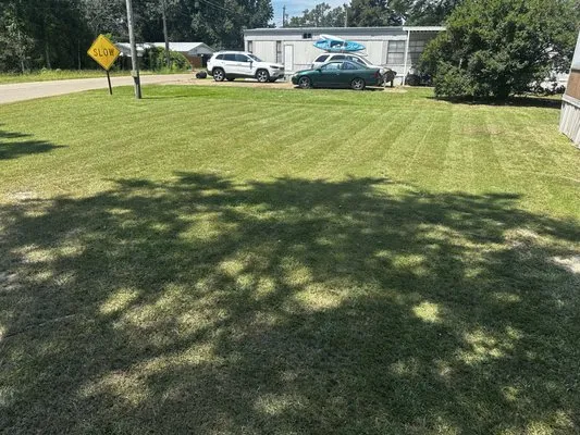 A&E Landscaping & Services