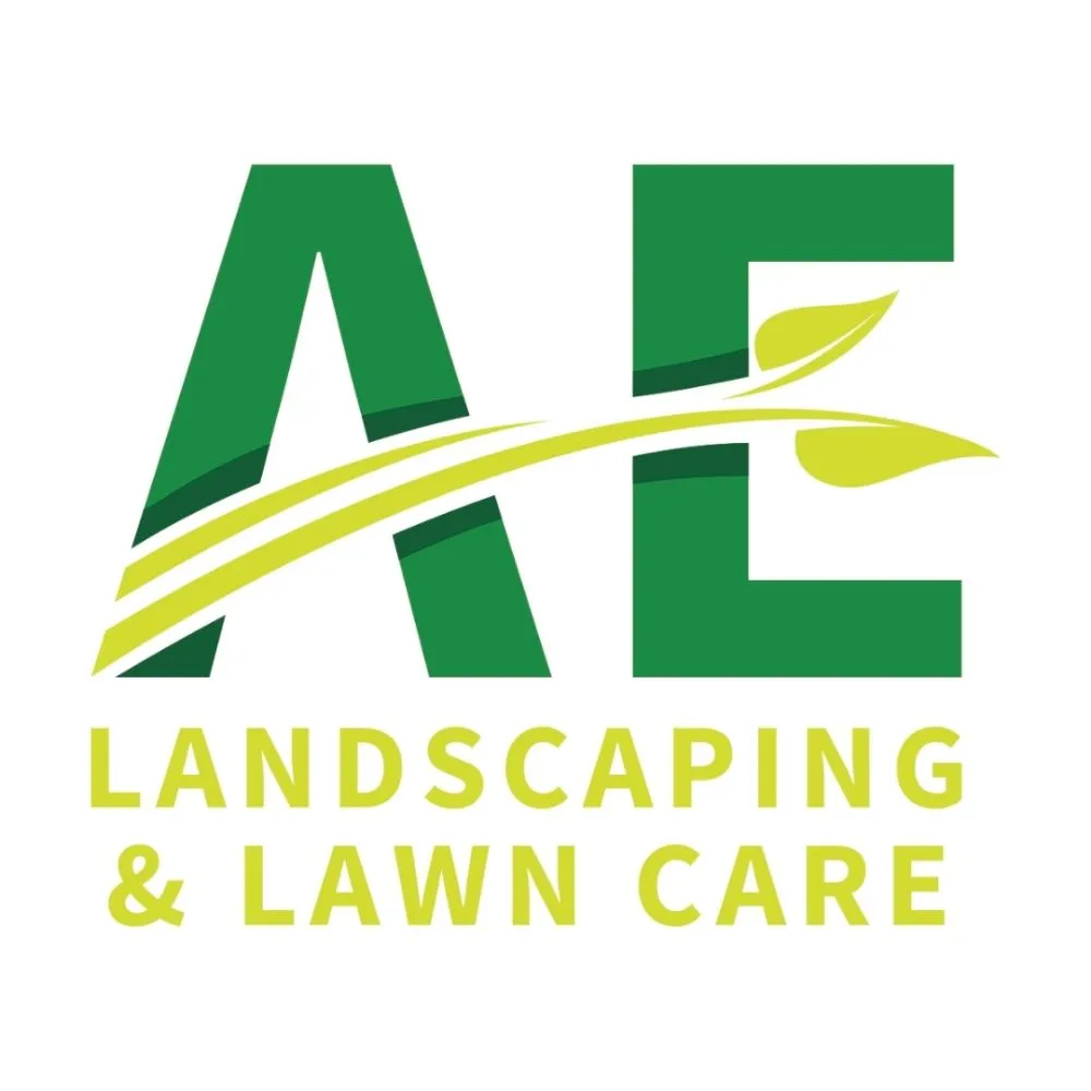 Local outdoor landscaping for year-round maintenance in Pflugerville, TX by AE Landscaping and Lawn Care