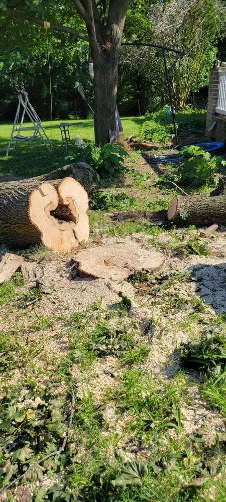 Expert landscape design for residential properties in Clear Spring, MD by A&E Landscaping and Tree Removal