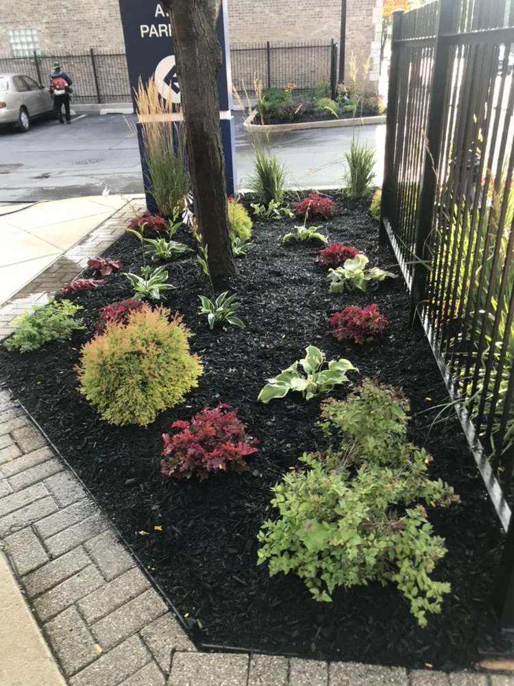 Reliable yard maintenance for year-round maintenance across Chicago, IL - A&E Landscaping