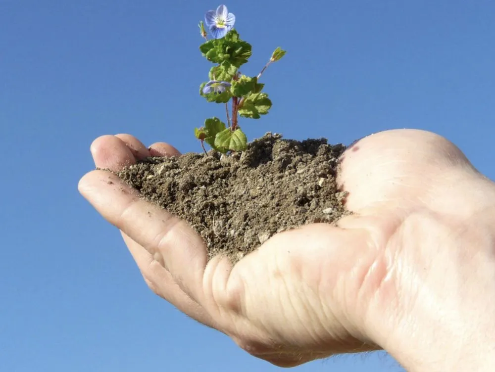 Reliable lawn mowing service with custom design across Chicago, IL - A&E Landscaping