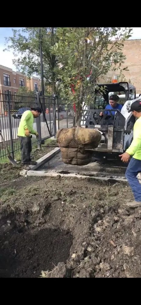 Expert garden landscaping with custom design across Chicago, IL - A&E Landscaping