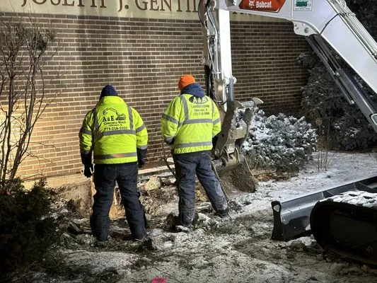 A&E Landscaping Logo