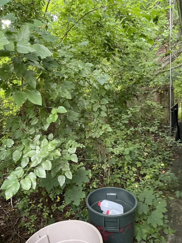 Custom landscape design near you across Coram, NY - A&E Landscaping