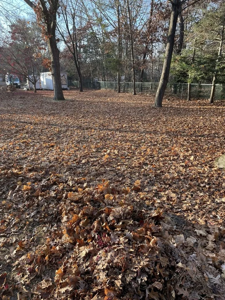 Trusted yard maintenance in Coram, NY by A&E Landscaping