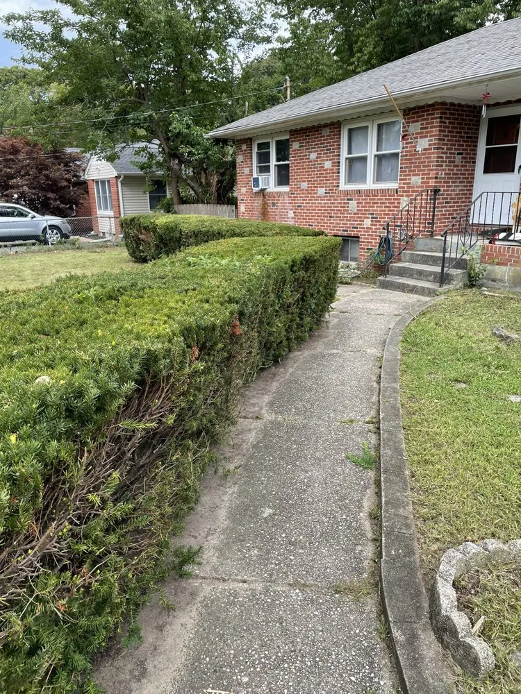 Reliable landscape design for homes in Coram, NY by A&E Landscaping