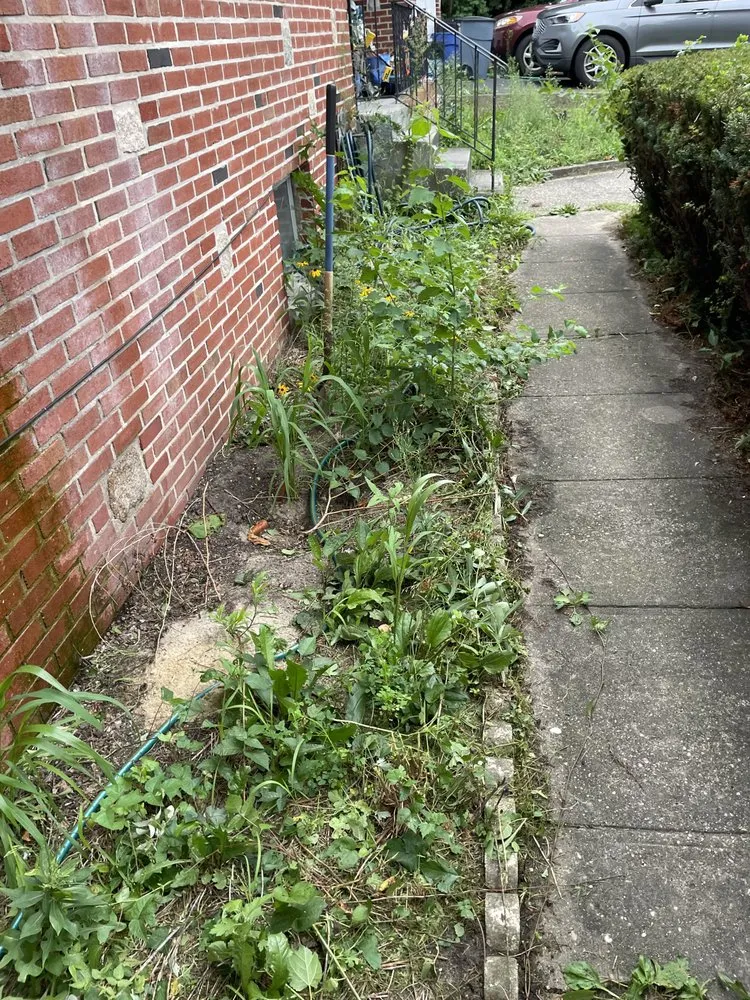 Top-rated yard cleanup service in Coram, NY by A&E Landscaping