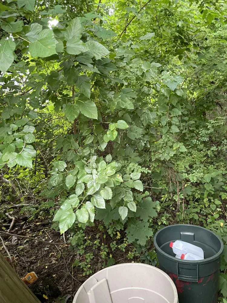 Professional landscaping services experts serving Coram, NY - A&E Landscaping