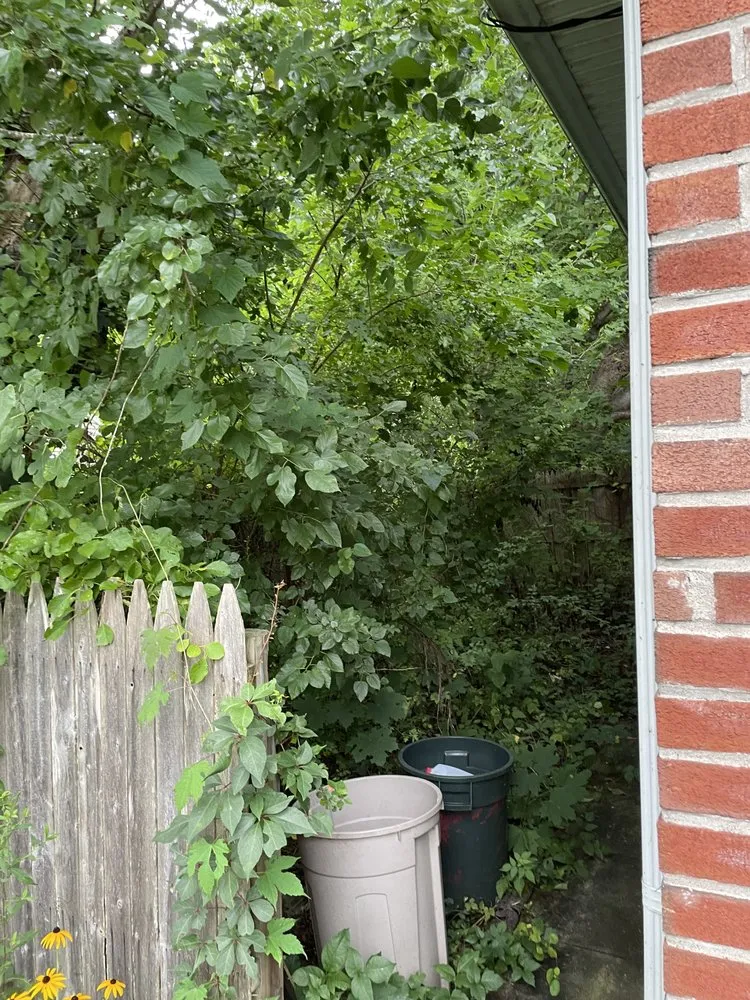 Local landscaping services for homes in Coram, NY by A&E Landscaping