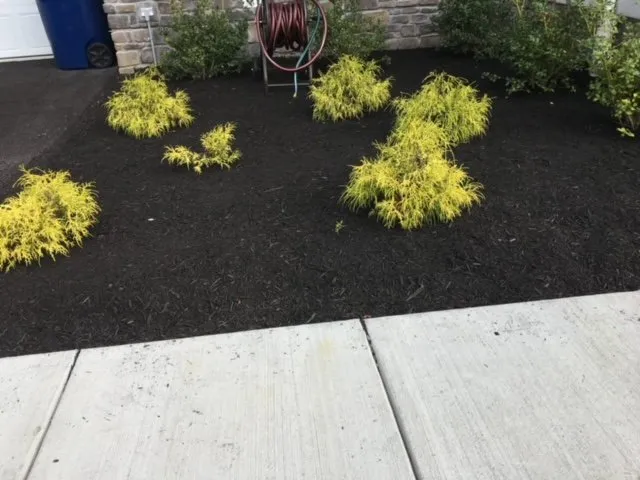 Professional lawn mowing service in Frederick, MD by AE Landscaping Cousins