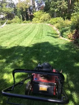 AE Landscaping Cousins Logo