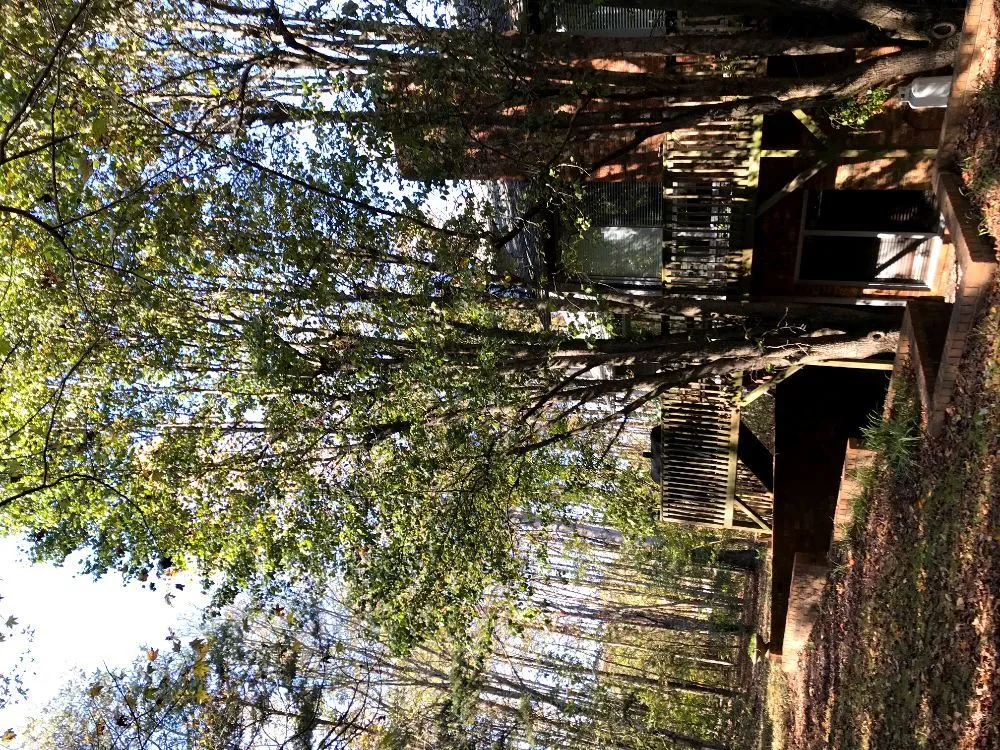 Professional garden landscaping in Knightdale, NC by A&E Landscaping