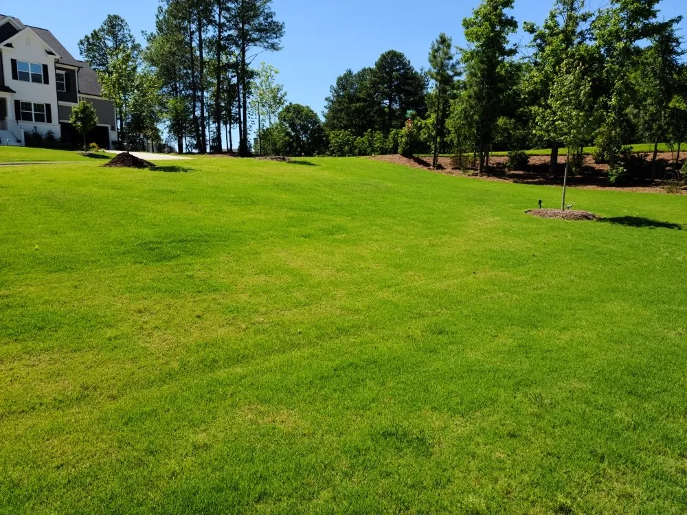 Reliable garden landscaping experts serving Knightdale, NC - A&E Landscaping