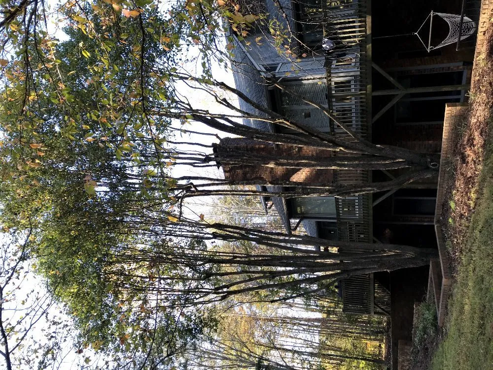 Professional lawn mowing service experts serving Knightdale, NC - A&E Landscaping