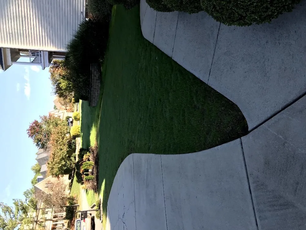 Trusted yard cleanup service in Knightdale, NC by A&E Landscaping