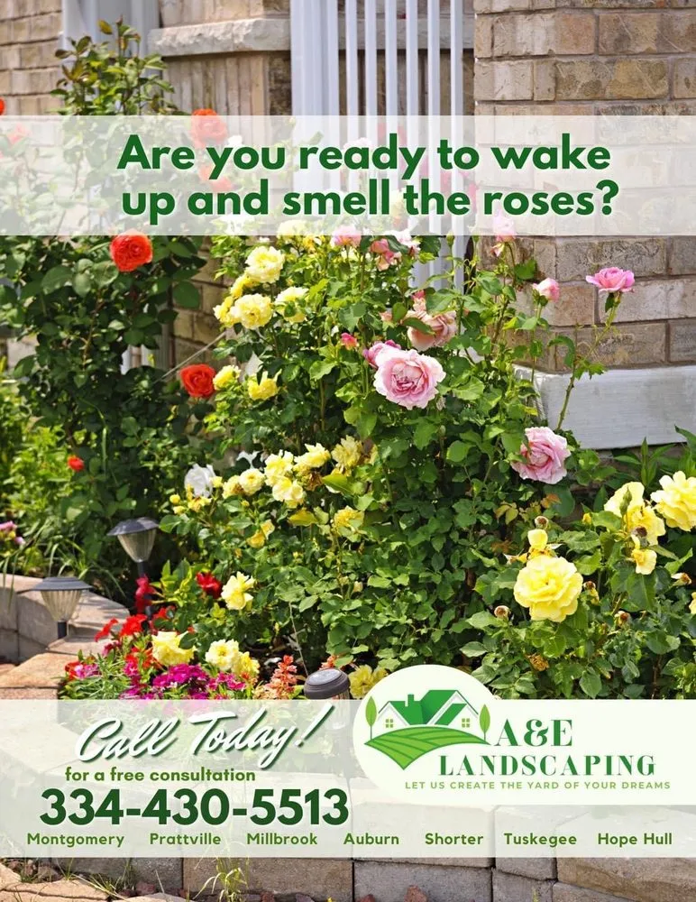 Custom outdoor landscaping in Montgomery, AL by A&e Landscaping