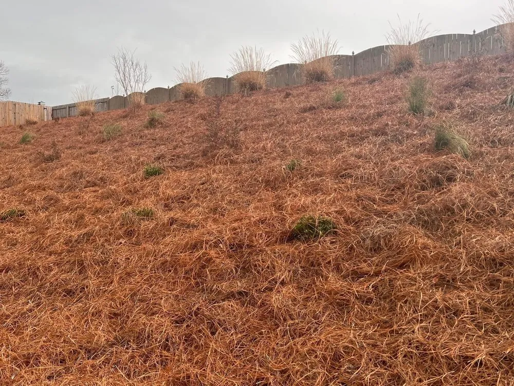 Professional lawn care service in Montgomery, AL - A&e Landscaping