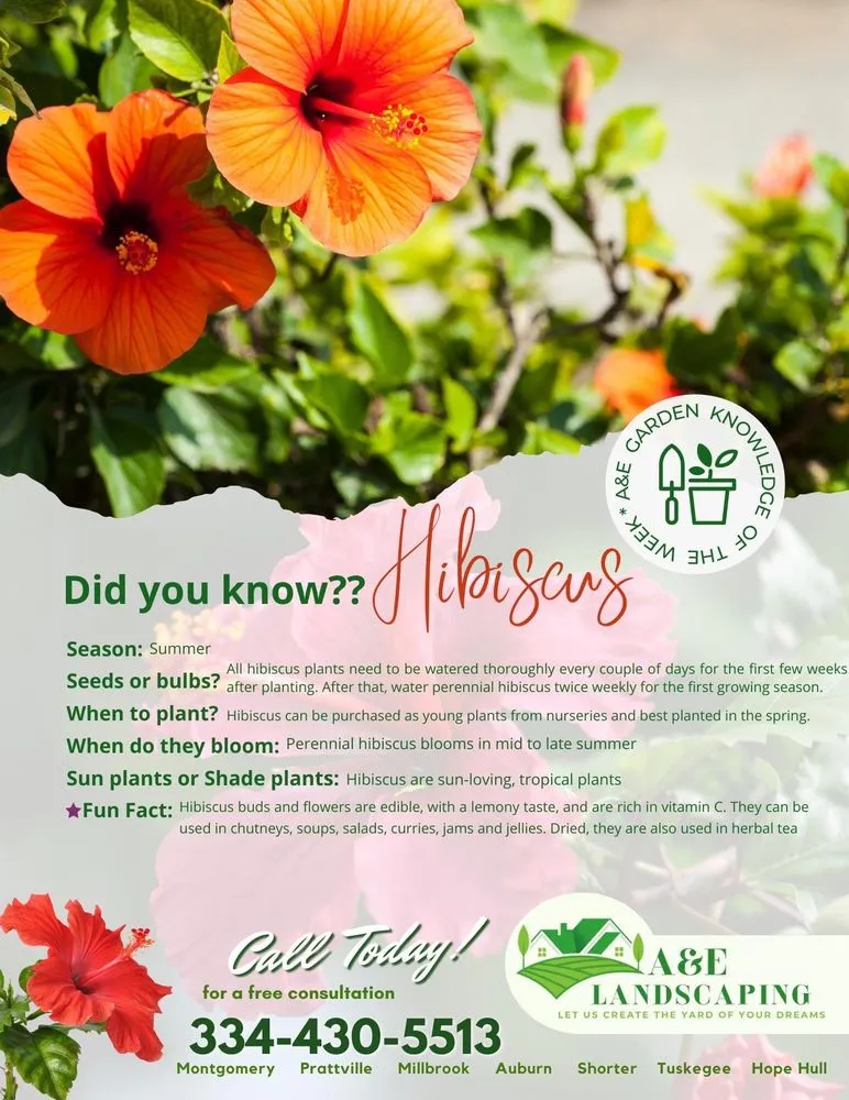 Expert garden landscaping in Montgomery, AL by A&e Landscaping