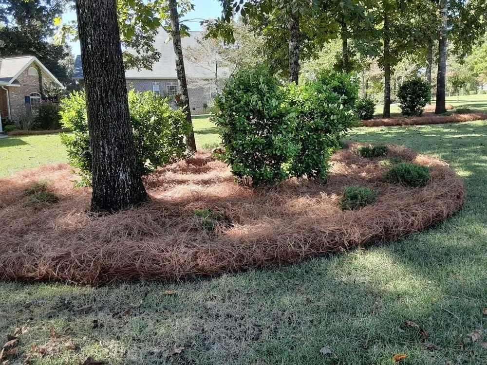 Top-rated lawn mowing service for residential properties across Montgomery, AL - A&e Landscaping