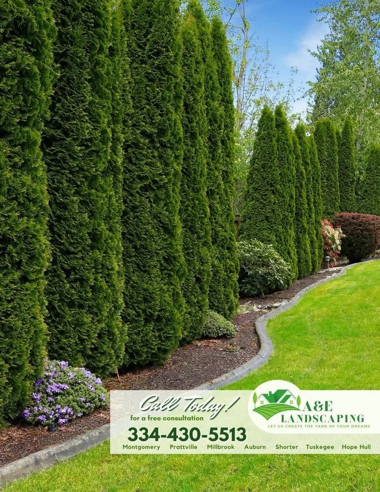 Trusted yard cleanup service in Montgomery, AL by A&e Landscaping