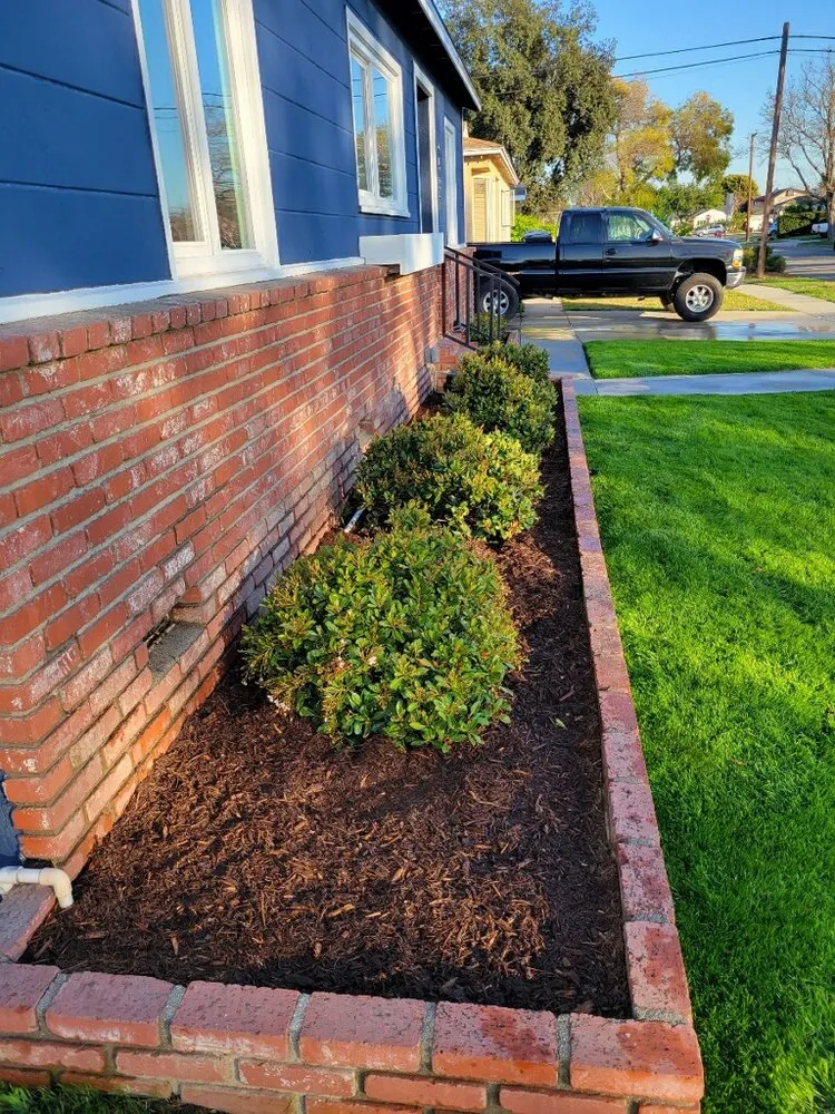 Affordable landscape design in Tustin, CA - A&E Landscaping