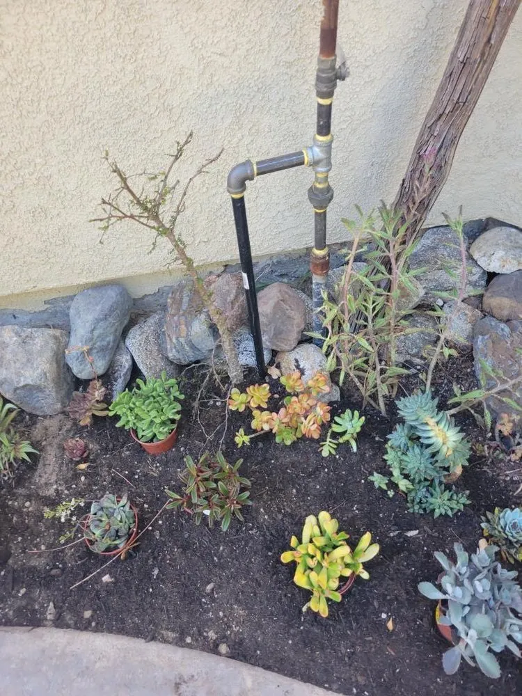 Professional yard maintenance in Tustin, CA - A&E Landscaping