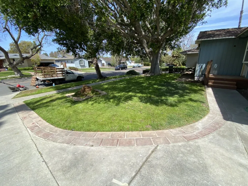 Affordable yard cleanup service experts serving Tustin, CA - A&E Landscaping