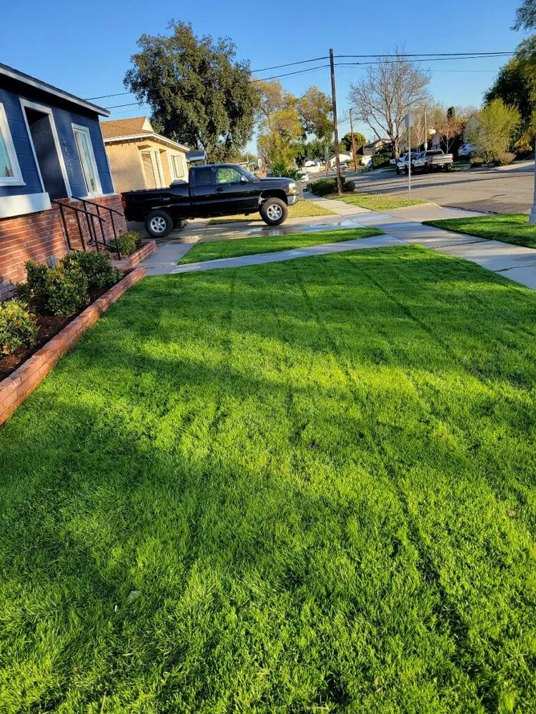 Expert residential landscaping in Tustin, CA - A&E Landscaping