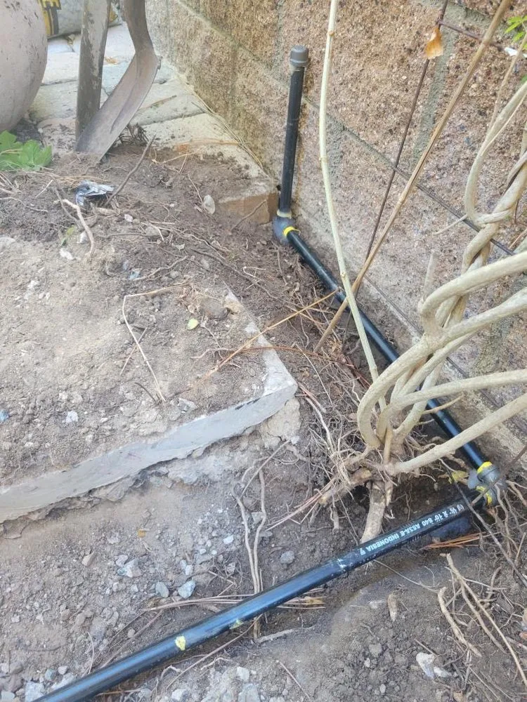 Affordable landscape installation experts serving Tustin, CA - A&E Landscaping