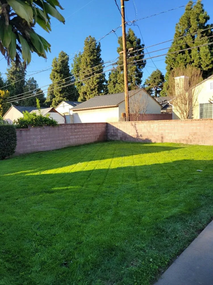 Affordable residential landscaping in Tustin, CA - A&E Landscaping