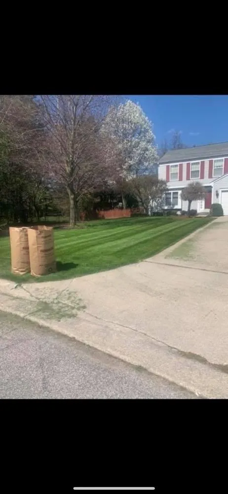 Professional lawn care service in Saginaw, MI - A&E Lawn Care and Snow Plowing