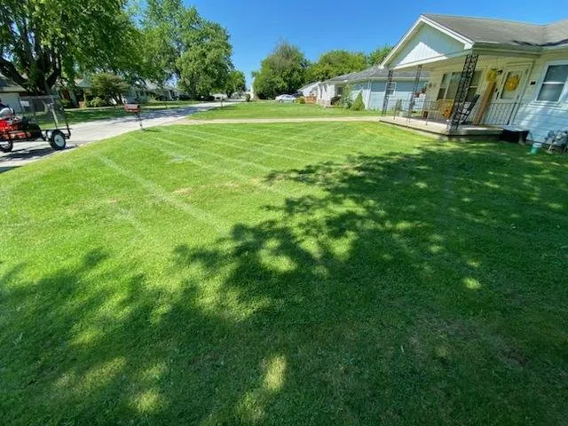 Professional yard cleanup service in Anderson, IN - A&E Lawn Care