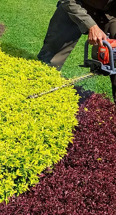 Top-rated yard cleanup service in Copperas Cove, GA by A&E Lawn Care