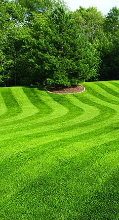Local landscape design in Copperas Cove, GA by A&E Lawn Care