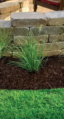 A&E Lawn Care
