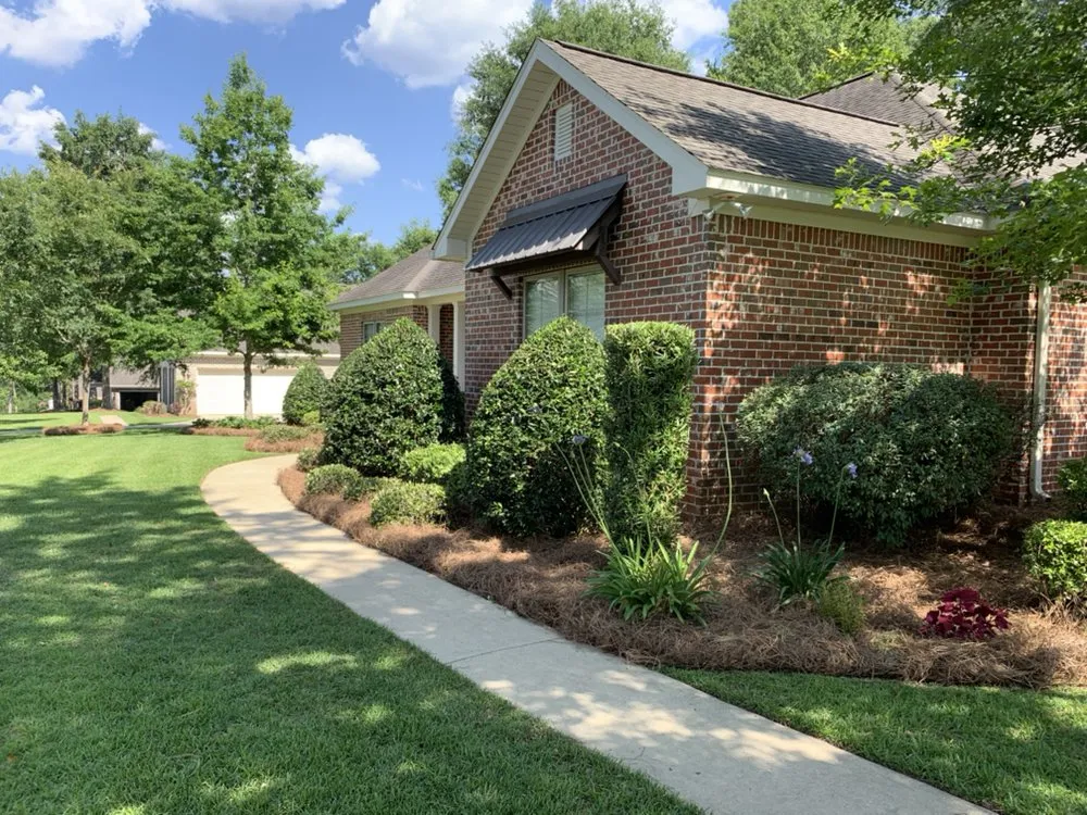 Custom yard cleanup service in Dothan, AL by A&E Lawn Care