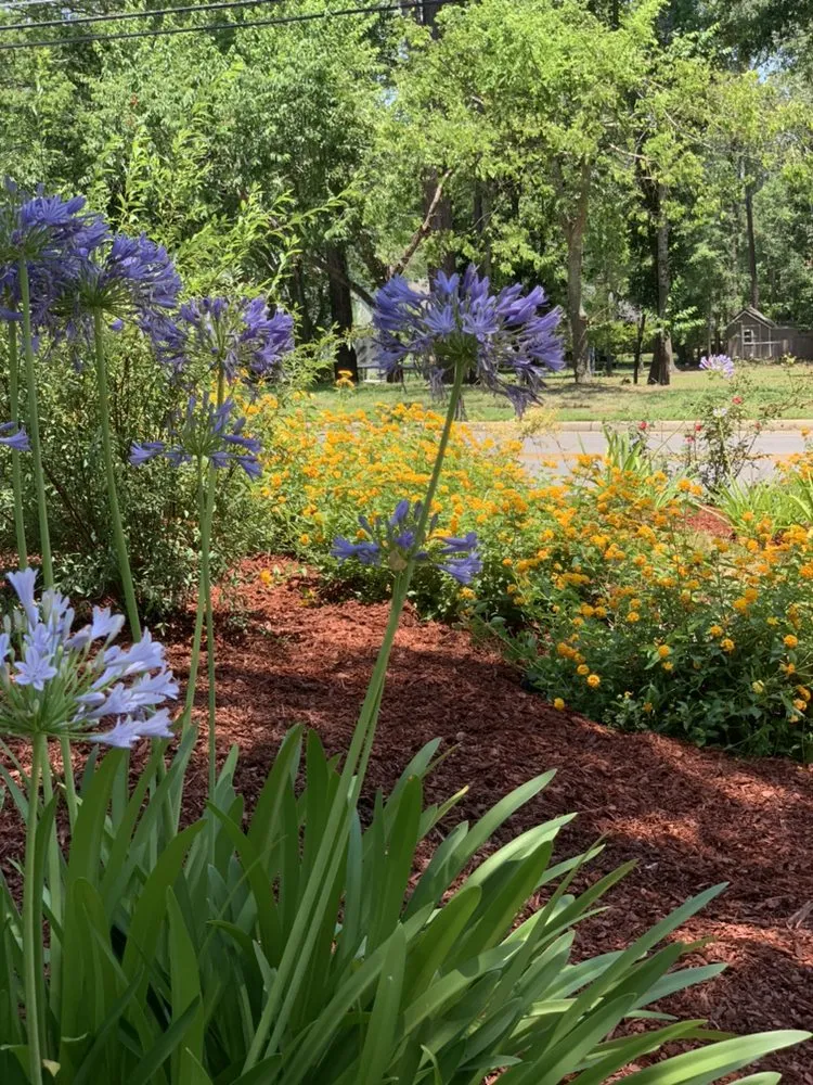 Affordable landscape design for beautiful yards across Dothan, AL - A&E Lawn Care