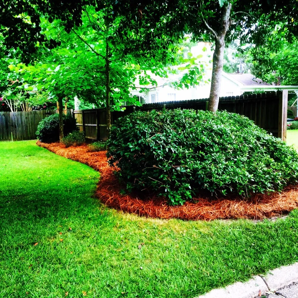 Top-rated yard maintenance for residential properties in Dothan, AL by A&E Lawn Care