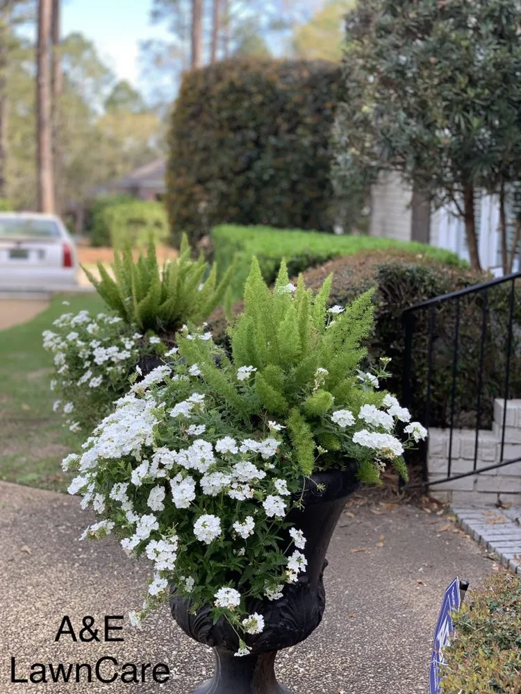 Professional landscape installation in Dothan, AL by A&E Lawn Care