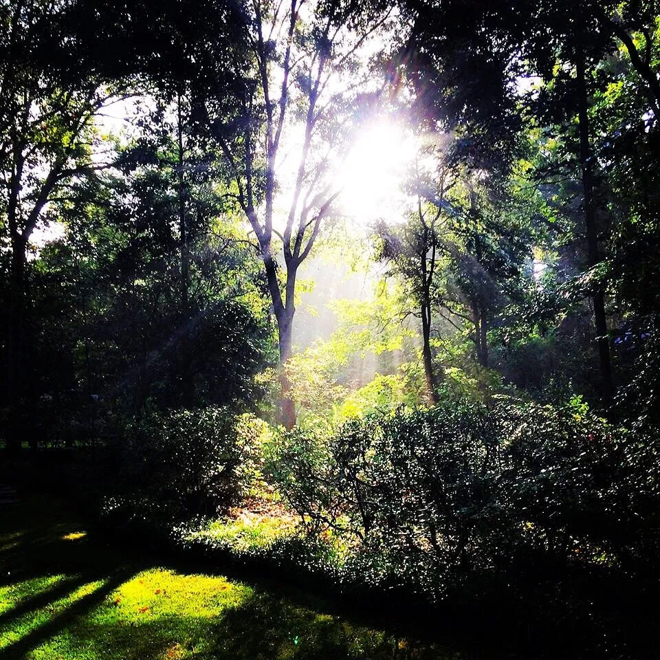 Professional landscape design experts serving Dothan, AL - A&E Lawn Care