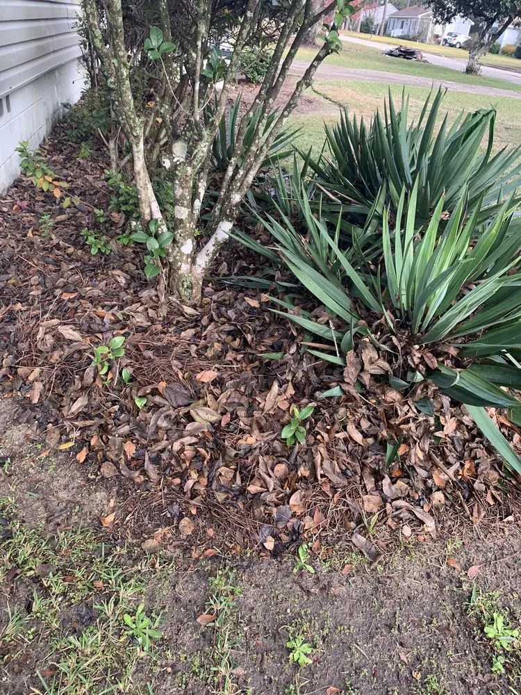 Reliable lawn mowing service experts serving Dothan, AL - A&E Lawn Care