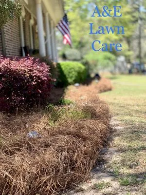 A&E Lawn Care