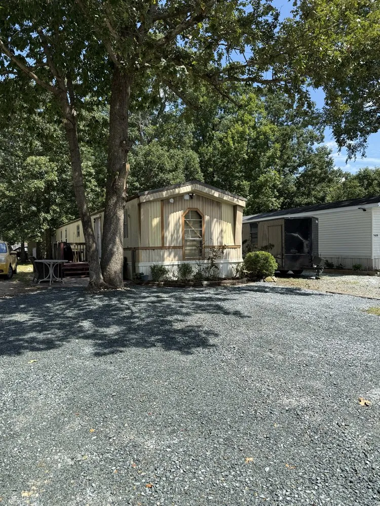 Custom yard cleanup service for outdoor upgrades across Heath Springs, SC - A&E Lawn Care