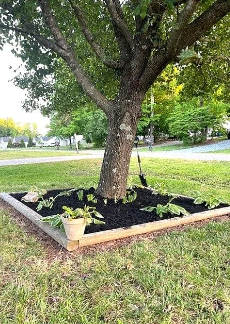 Local residential landscaping experts serving Heath Springs, SC - A&E Lawn Care