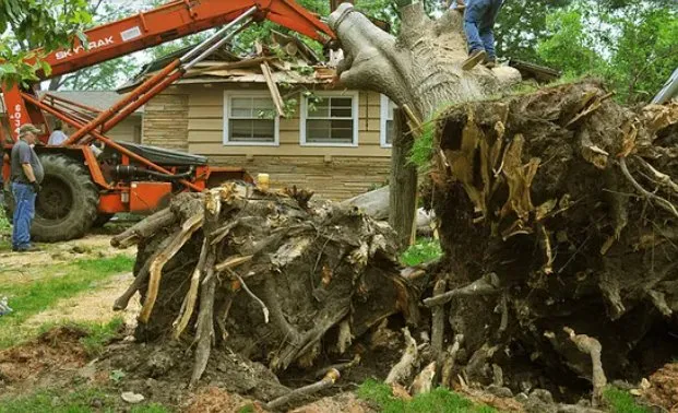 Top-rated lawn mowing service for residential properties in Inman, SC by A&E Lawn Care