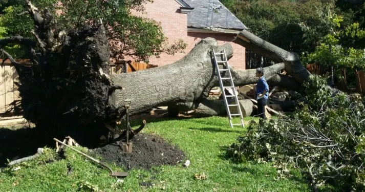 Expert landscaping services experts serving Inman, SC - A&E Lawn Care