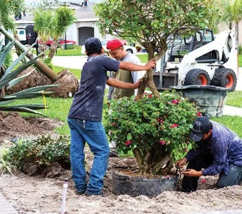 Top-rated outdoor landscaping in Inman, SC - A&E Lawn Care