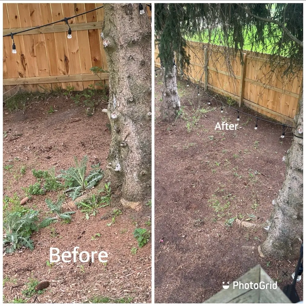 Local landscape design for year-round maintenance across Grand Rapids, MI - A&E Lawn Care Services