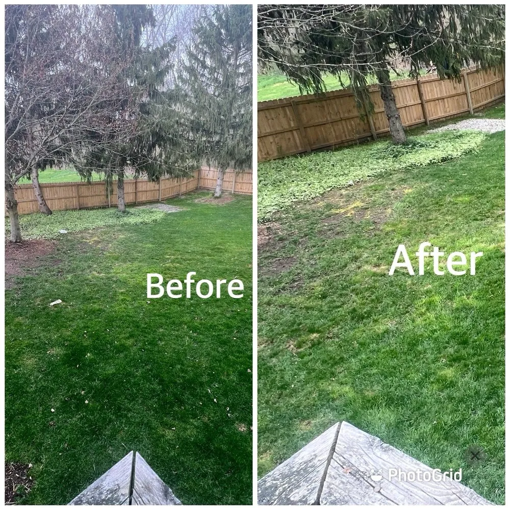 Reliable outdoor landscaping in Grand Rapids, MI - A&E Lawn Care Services